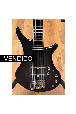 Vigier Passion 6 Series III (usado) Vigier Passion 6 Series III (usado)